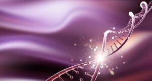 Niveles de condensación del ADN