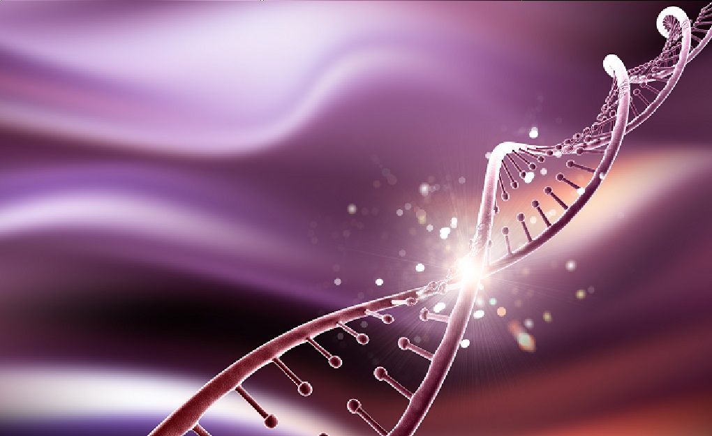 Niveles de condensación del ADN